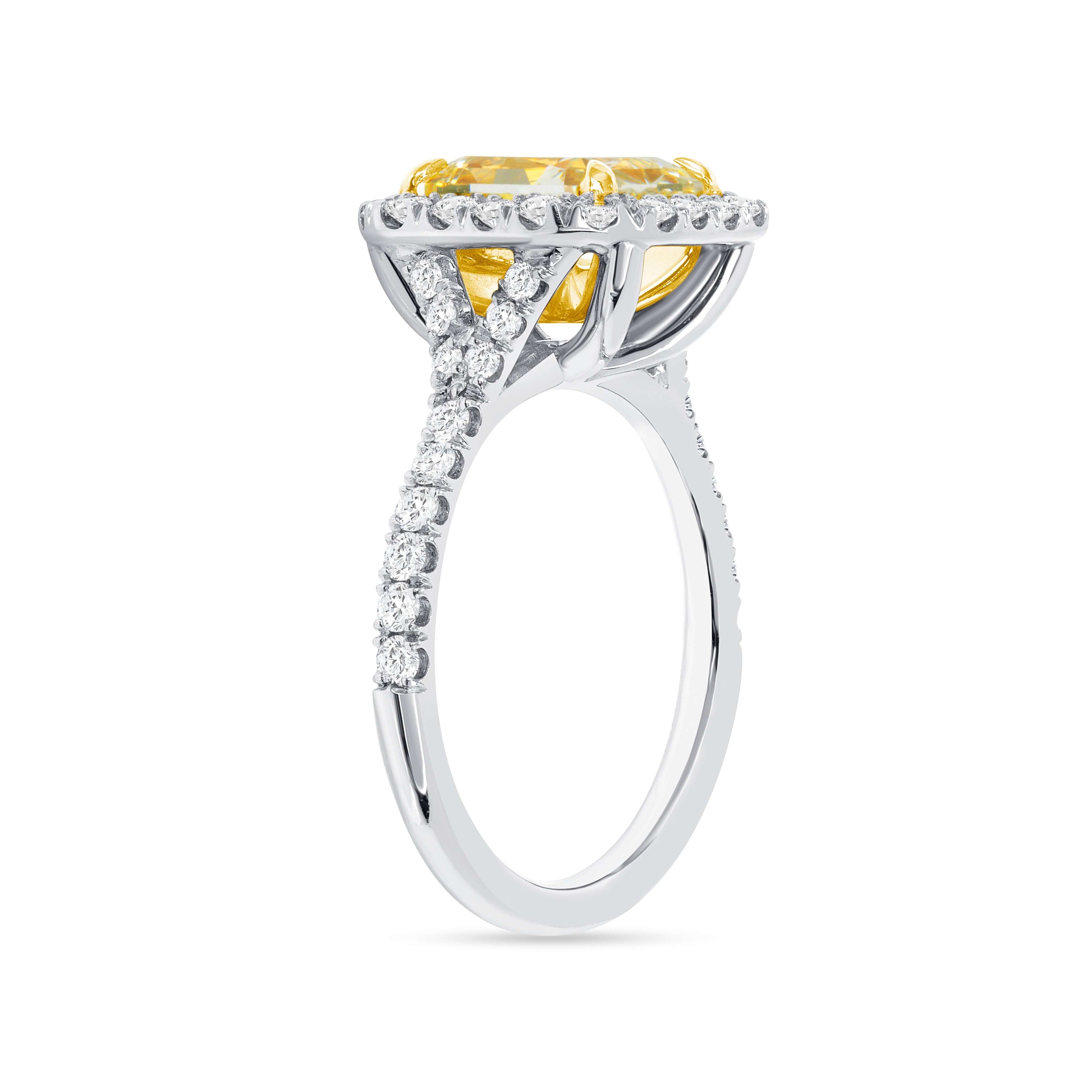 3.64 CT. Halo Radiant Cut YZ Yellow Diamond Ring in Platinum and 18K Yellow Gold - Halo Ring