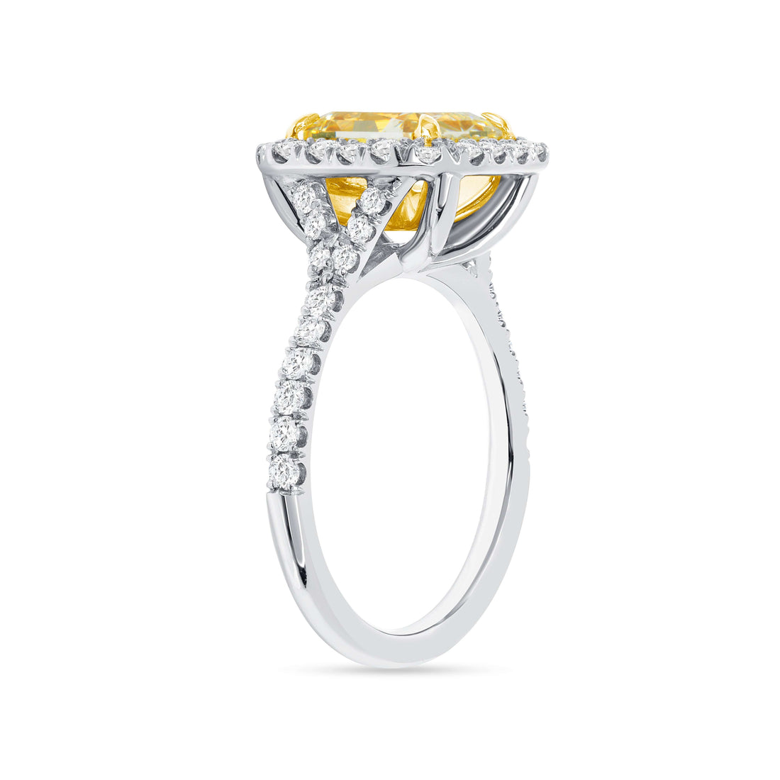 3.64 CT. Halo Radiant Cut YZ Yellow Diamond Ring in Platinum and 18K Yellow Gold - Halo Ring