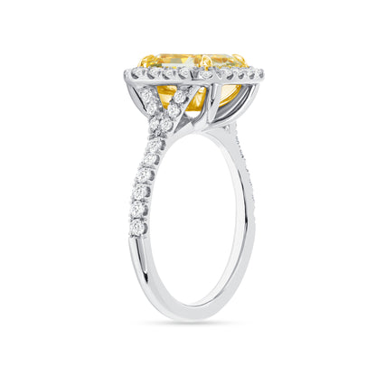 3.64 CT. Halo Radiant Cut YZ Yellow Diamond Ring in Platinum and 18K Yellow Gold